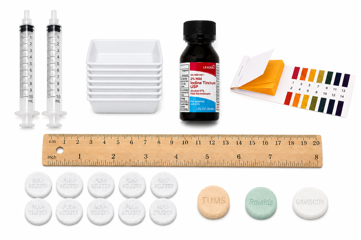 Sara Schenirer Bio 1 Lab Kit